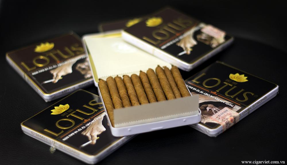 Xì gà mini và cách hút cigar mini đúng cách